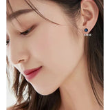 Natural Freshwater Pearl Stud Earrings Real 925 Sterling Sliver Earring Cultured White Pearl for Women Earring Jewelry Wholesale